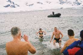 Swimmers in sub-zero Antarctic water