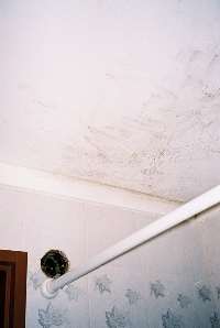 Mouldy bathroom in the Hotel Cap Polonio